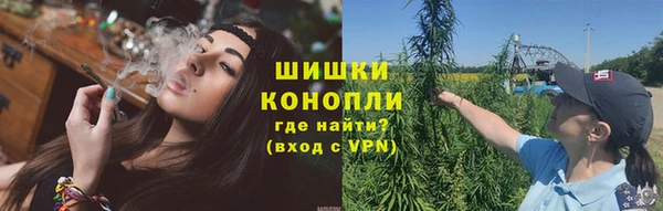 PSILOCYBIN Нея