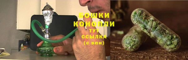 PSILOCYBIN Нея