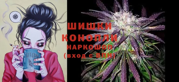 PSILOCYBIN Нея