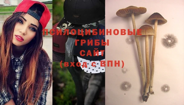 PSILOCYBIN Нея