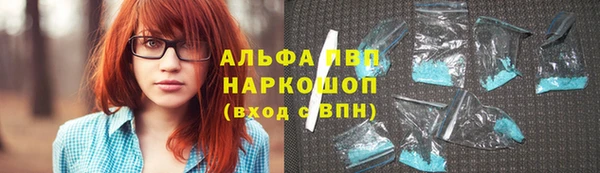 амф Щигры