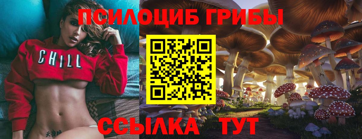 Галлюциногенные грибы Cubensis Красноуфимск