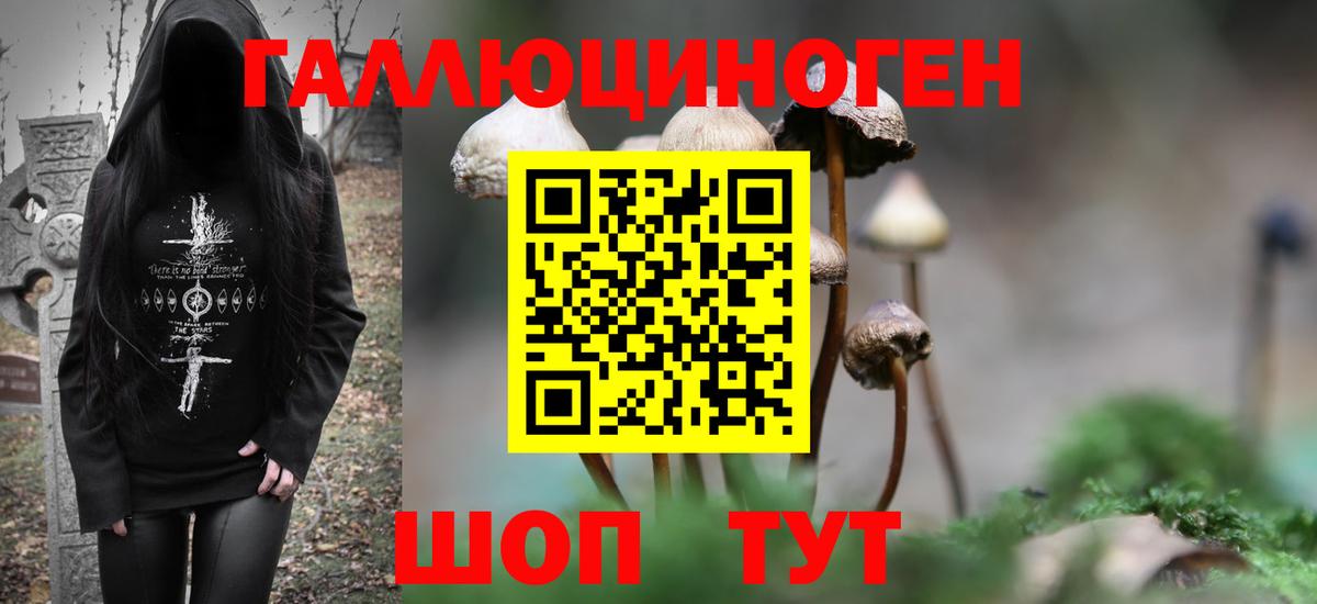 Красноуфимск  Псилоцибиновые грибы GOLDEN TEACHER  Псилоцибиновые грибы Psilocybe  Вход с VPN 